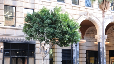 Roosevelt Lofts Photo